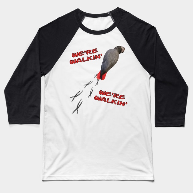 African Grey Parrot Walking Baseball T-Shirt by Einstein Parrot